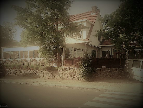 CHALET DE LA PEDE